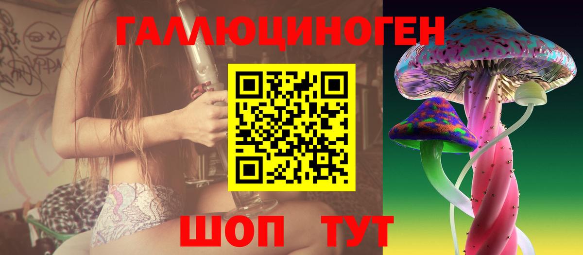 Переславль-Залесский  Псилоцибиновые грибы Psilocybe  Вход с VPN  Галлюциногенные грибы мухоморы 
